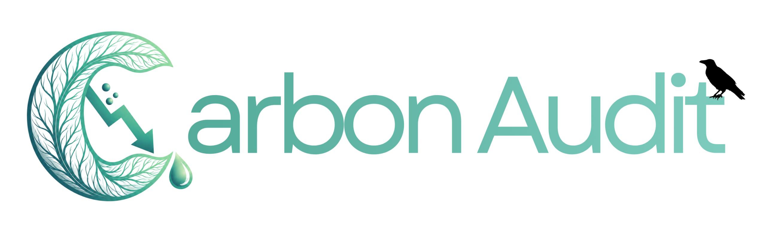 carbon audit logo